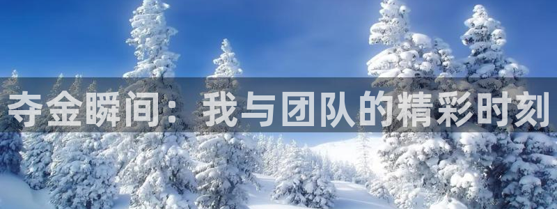 一竞技官方正版app神州：夺金瞬间：我与团队的精彩时