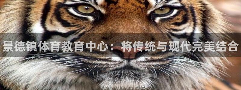 一竞技官方正版app集团官网网址：景德镇体育教育中心