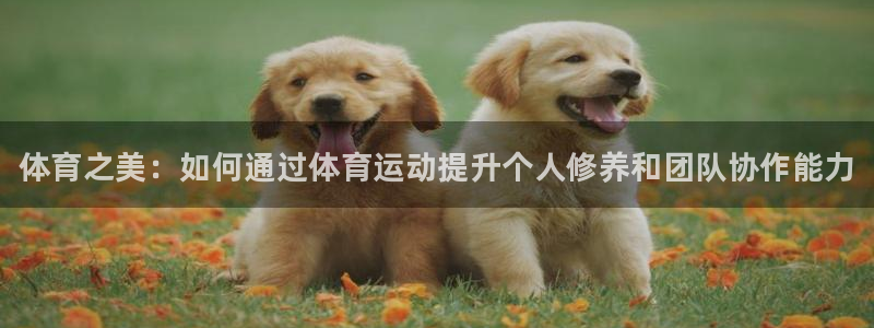 一竞技官网下载招商电话：体育之美：如何通过体育运动提