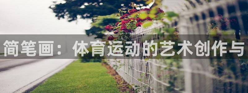 一竞技官网下载软件：简笔画：体育运动的艺术创作与