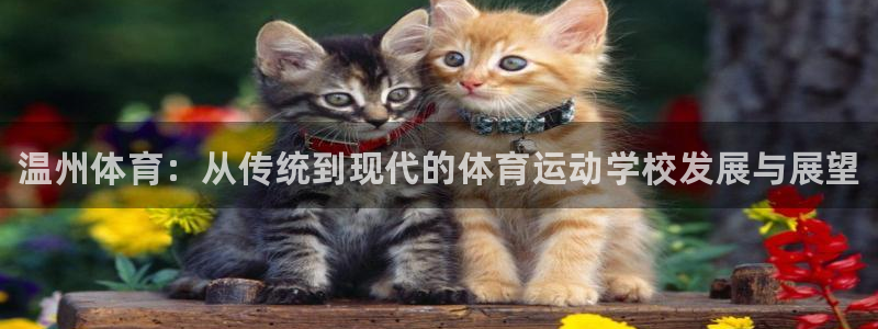 一竞技官网下载招商电话是多少：温州体育：从传统到现代