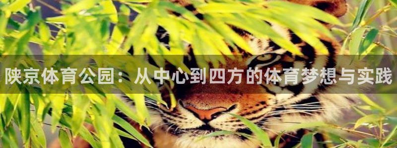 一竞技官网下载招商电话是多少号码：陕京体育公园：从中