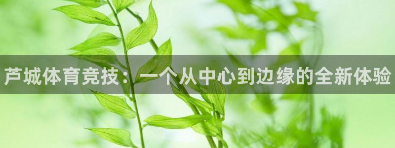 一竞技官网下载招商：芦城体育竞技：一个从中心到边缘的