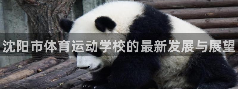 一竞技官方平台体育：沈阳市体育运动学校的最新发展与展
