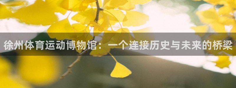一竞技官方正版app官网：徐州体育运动博物馆：一个连
