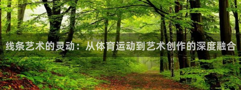 一竞技官网下载平台注册要钱吗：线条艺术的灵动：从体育运动到艺