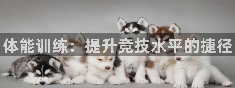 一竞技官方正版app娱乐下载：体能训练：提升竞技水平的捷径