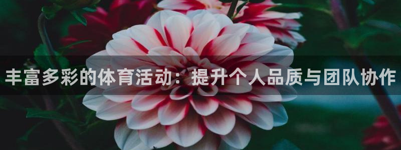 一竞技官网下载招商