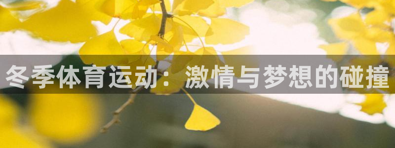 一竞技官网下载软件：冬季体育运动：激情与梦想的碰撞