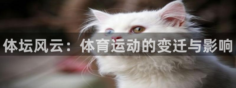 一竞技官网下载平台注册要钱吗是真的吗：体坛风云：体育运动的变