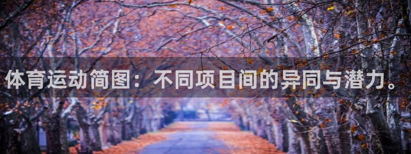 一竞技官方正版app集团：体育运动简图：不同项目间的异同与潜