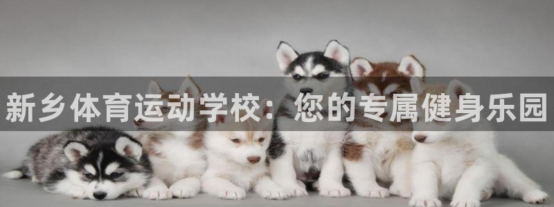 一竞技官方正版app娱乐首页网站大全：新乡体育运动学校：您的