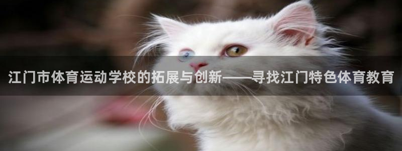 一竞技官方正版app五金厂：江门市体育运动学校的拓展与创新—