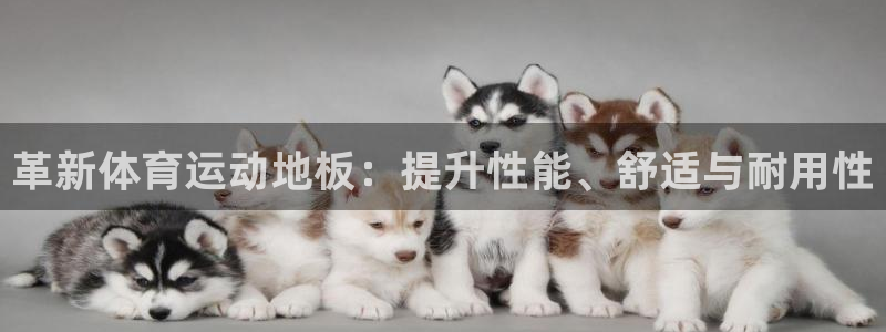 一竞技官网下载平台注册流程视频：革新体育运动地板：提升性能、
