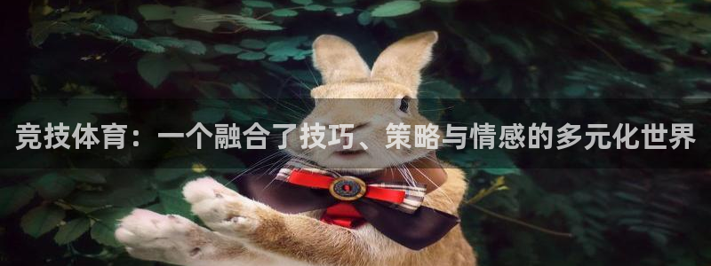 一竞技官方正版app官网