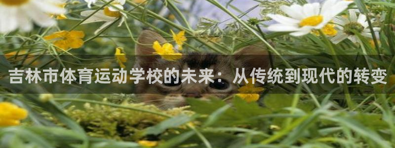 一竞技官网下载平台注册流程视频：吉林市体育运动学校的未来：从