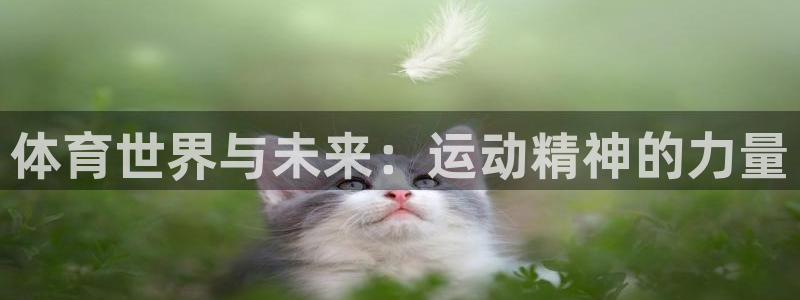 一竞技官网下载平台注册：体育世界与未来：运动精神的力