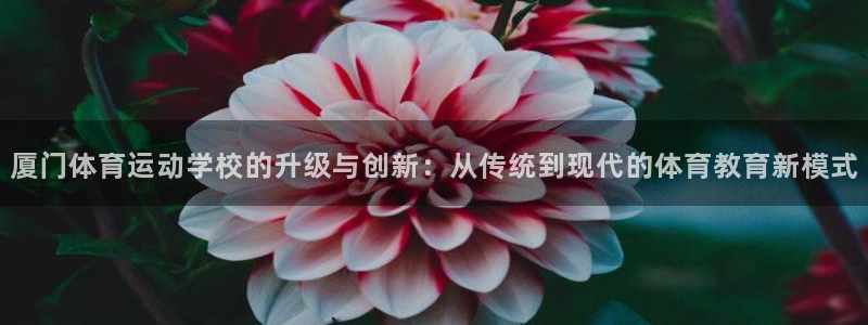 德国一竞技官方正版app集团：厦门体育运动学校的升级与创新：