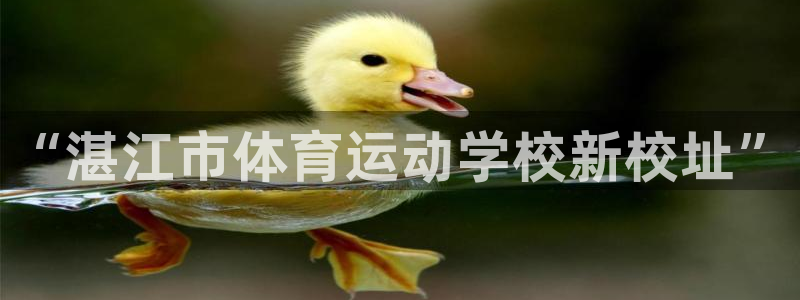 一竞技官方正版app五金厂：“湛江市体育运动学校新校址”