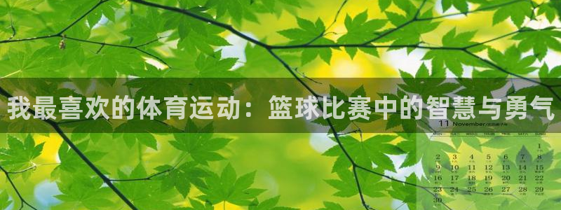 一竞技官方正版app集团E.ON：我最喜欢的体育运动