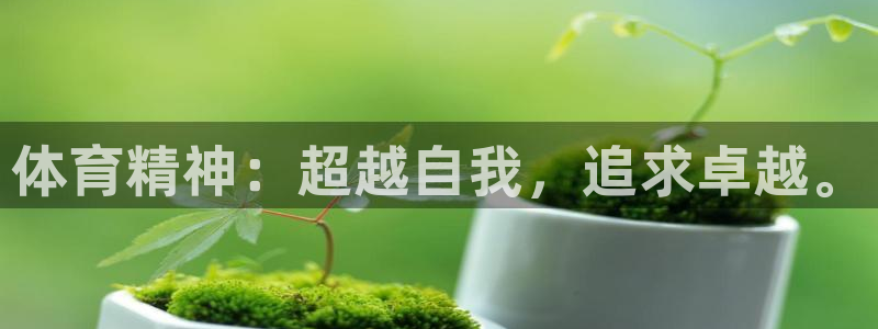 一竞技官网下载平台注册流程图：体育精神：超越自我，追求卓越。