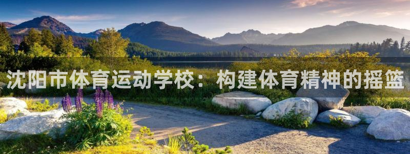 一竞技官网下载招商电话号码：沈阳市体育运动学校：构建体育精神