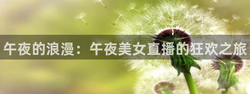 雨燕360足球高清直播