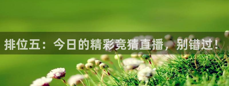 360体育免费直播在线观看：排位五：今日的精彩竞猜直播，别错过！