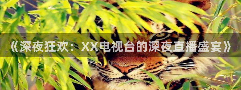 雨燕360体育免费直播高清视频大全：《深夜狂欢：XX电视台的深夜直播盛宴》