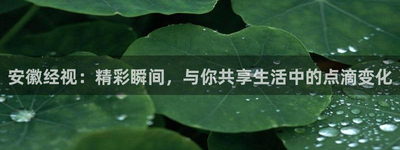 360直播用心体育：安徽经视：精彩瞬间，与你共享生活中的点滴变化