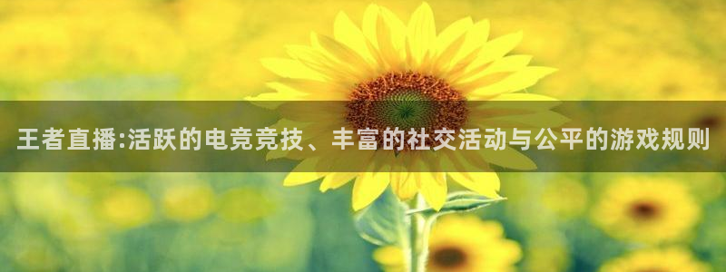 360足球直播网：王者直播:活跃的电竞竞技、丰富的社交活动与公平的游戏规则