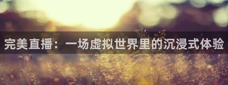 360体育在线直播软件：完美直播：一场虚拟世界里的沉浸式体验