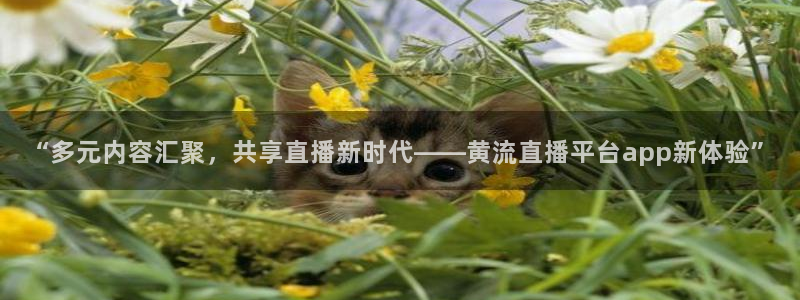 360足球直播高清免费观看：“多元内容汇聚，共享直播新时代——黄流直播平台app新体验”