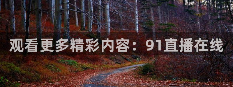 360度nba直播：观看更多精彩内容：91直播在线
