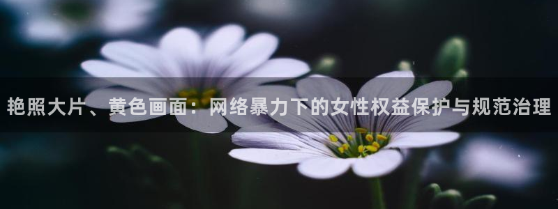 足球视频直播360：艳照大片、黄色画面：网络暴力下的女性权益保护与规范治理