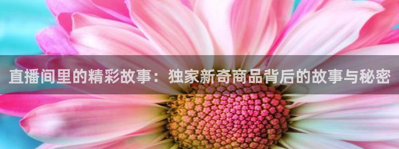 360直播体育直播：直播间里的精彩故事：独家新奇商品背后的故事与秘密