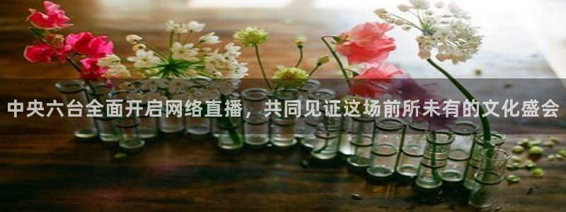 360体育直播首页：中央六台全面开启网络直播，共同见证这场前所未有的文化盛会