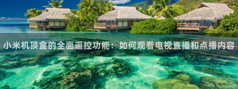 360体育直播高清在线观看免费：小米机顶盒的全面遥控功能：如何观看电视直播和点播内容