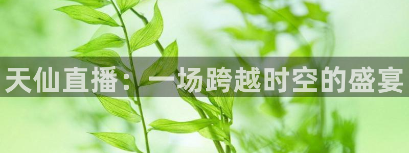 在线看足球直播360：天仙直播：一场跨越时空的盛宴